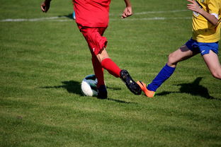 开云app-NBA球员训练计划个性化设计，nba球员训练视频,篮球技术