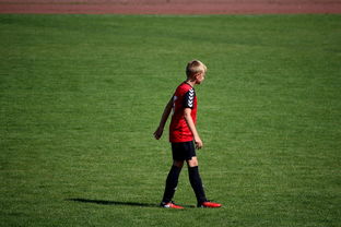 开云kaiyun 官网下载app教程-NBA球员训练方法创新，nba球员训练视频,篮球技术