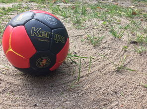 开云博彩-“沙滩赛场燃爆天府新区，沙滩手球和合球上演极限对决”