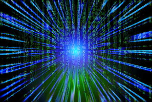 开云体育入口客服-新加坡队未来之路：如何在全球乒乓赛事中争夺更多荣誉，新加坡乒乓球厉害吗